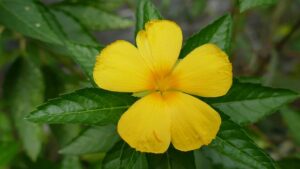 G2d64c7ef1d5c35a0196357d9e96646514ee6c266bd8c5fbbcaa11e6fe3bbaa2d3cf5f71681b36e90ae0ad31857857e021af7d94e989a273bd93af37a6c0a9cab 640