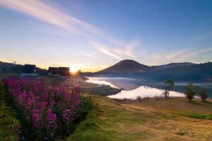 Gd88ff47fc1bee0373e3d98005b8a8ea577db0bf76c7baa4fa89106c751bb4ace0ca0cb62d8286c3b84b73b52c16cc019842a29fd79d4154eafcba9099ae134ad 640